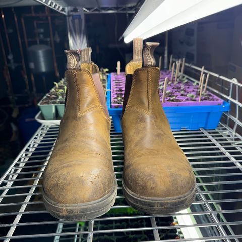 Blundstone Classic in Saddle Brown Crazy Horse
