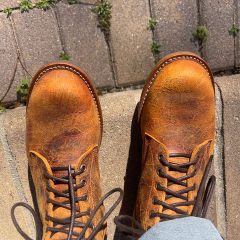 View photo of Truman Plain Toe Boot in C.F. Stead Coach Rambler