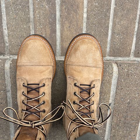Truman Cap Toe Boot in Wooly Bully Roughout