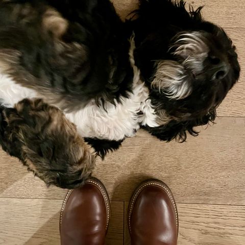 John Lofgren Chelsea Boots in Horween Timber Chromexcel