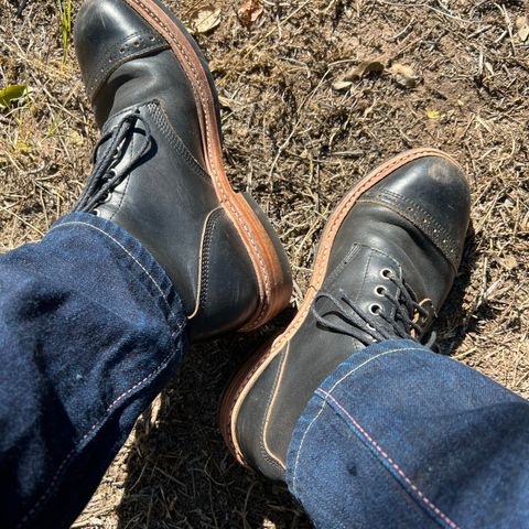 Oak Street Bootmakers Field Boot in Horween Black Chromexcel