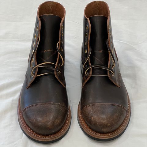 Oak Street Bootmakers Cap-toe Field Boot in Tempesti Brown Overdye Camello Asportabile