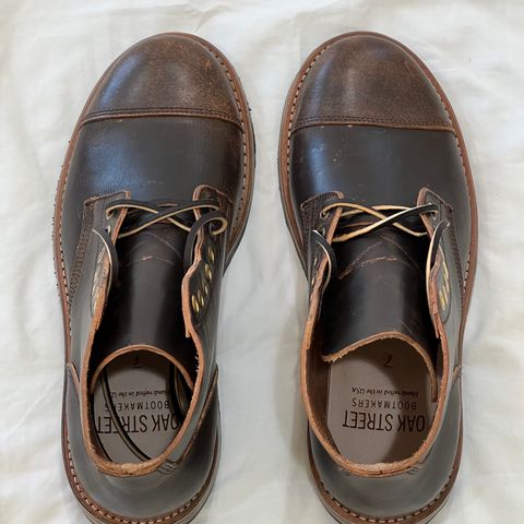 Oak Street Bootmakers Cap-toe Field Boot in Tempesti Brown Overdye Camello Asportabile