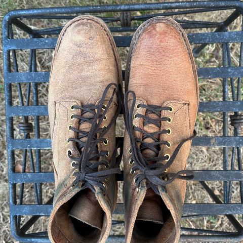 View photo of White's MP-Sherman Plain Toe in New Rosewood Waxed Elk Unicorn