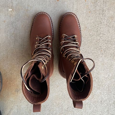Nicks Ranger in Seidel 1964 Brown