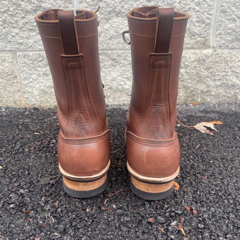 Nicks Ranger in Seidel 1964 Brown