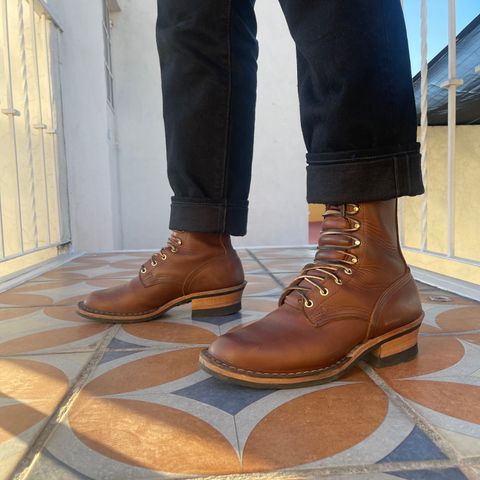 Nicks Ranger in Seidel 1964 Brown