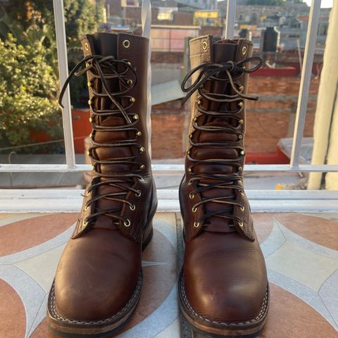 Nicks Ranger in Seidel 1964 Brown