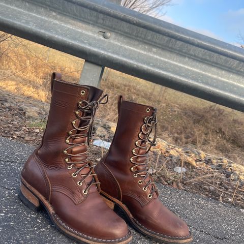Nicks Ranger in Seidel 1964 Brown