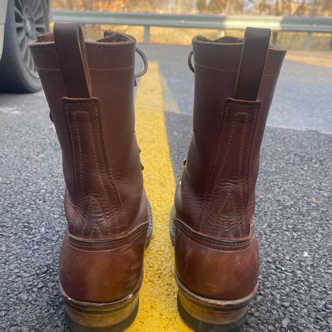 Nicks Ranger in Seidel 1964 Brown