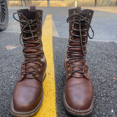Nicks Ranger in Seidel 1964 Brown