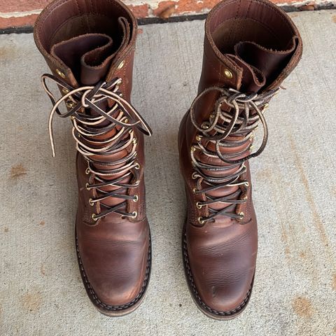 Nicks Ranger in Seidel 1964 Brown