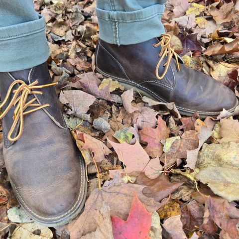 Red Wing Weekender Chukka in S.B. Foot Charcoal Rough and Tough
