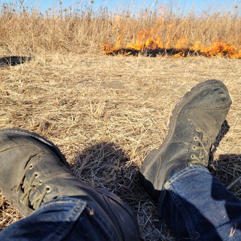 Trav's Outfitter Cove 709K Kevlar Logger in Black Heavy Oil Leather