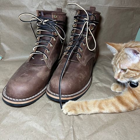 Nicks Falcon in Horween Whiskey Predator