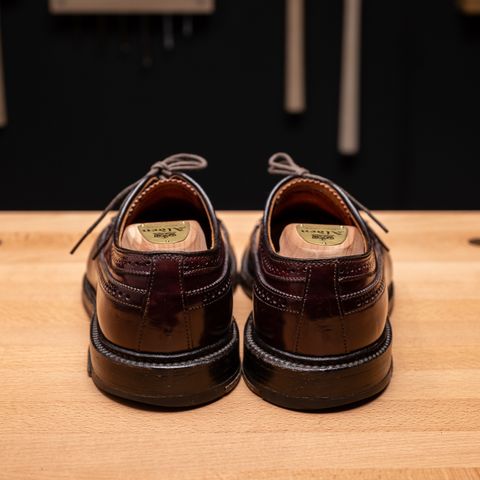 Alden Long Wing Blucher in Horween Color 8 Shell Cordovan