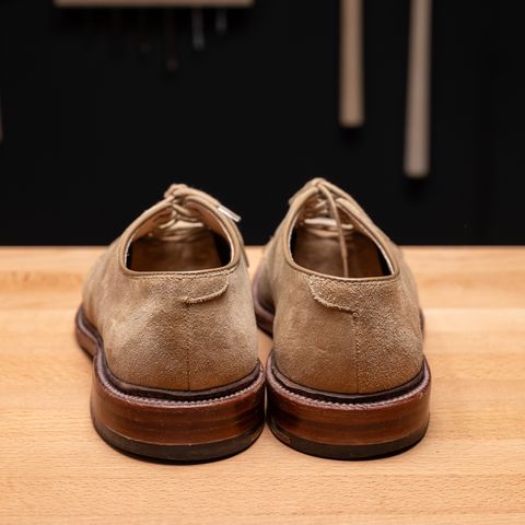 Alden Plain Toe Blucher
