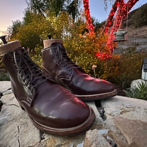 Search result thumbnail of Viberg Service Boot in Horween Color 4 Shell Cordovan