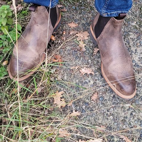 Meermin Chelsea Boot in C.F. Stead Gaucho Waxy Kudu