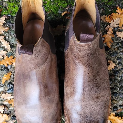 Meermin Chelsea Boot in C.F. Stead Gaucho Waxy Kudu