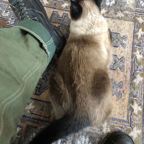 View photo of Sagara Cordmaster in Badalassi Carlo Oliva Minerva Overdyed Black