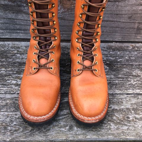 View photo of Nicks DomePro in Wickett & Craig Tan English Bridle