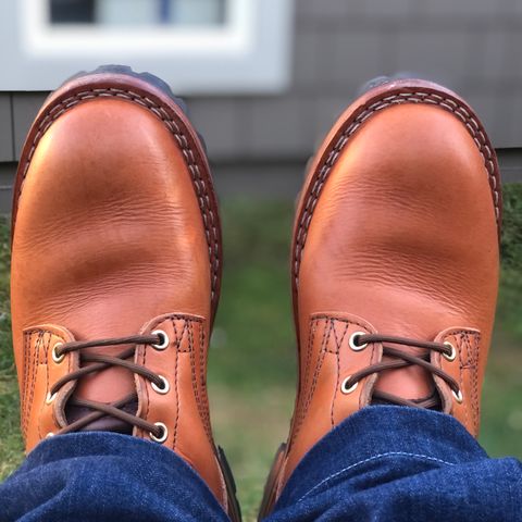 View photo of Nicks DomePro in Wickett & Craig Tan English Bridle