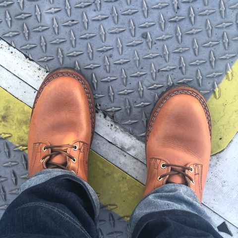 View photo of Nicks DomePro in Wickett & Craig Tan English Bridle
