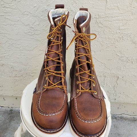 Thorogood American Heritage 8" Moc Toe in Seidel Trail Crazy Horse