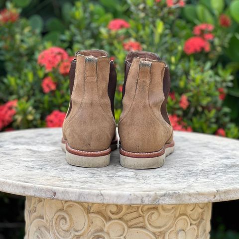 Tecovas The Luke in Sawdust Roughout