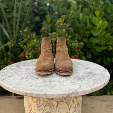 Tecovas The Luke in Sawdust Roughout