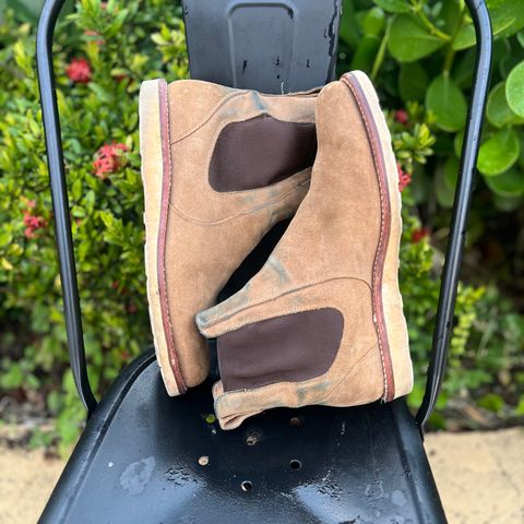 Tecovas The Luke in Sawdust Roughout