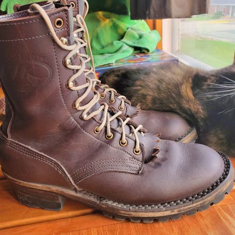 View photo of JK Boots Superduty in Seidel Brown Oil Tan