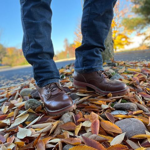 Nicks Urban Drifter in Wickett & Craig Brown Oiled Latigo
