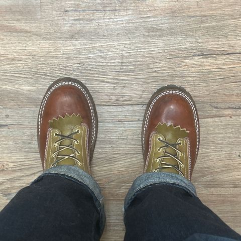 Frank's Lace-To-Toe in Wickett & Craig Medium Brown Traditional Harness & Wickett & Craig Olive Traditional Harness