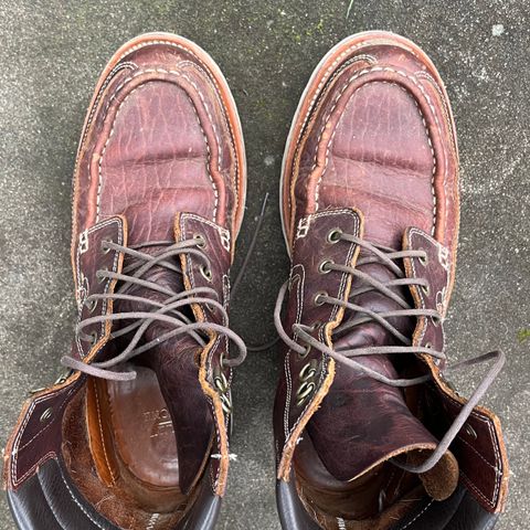 Grant Stone Field Boot in Seidel Walnut Bison
