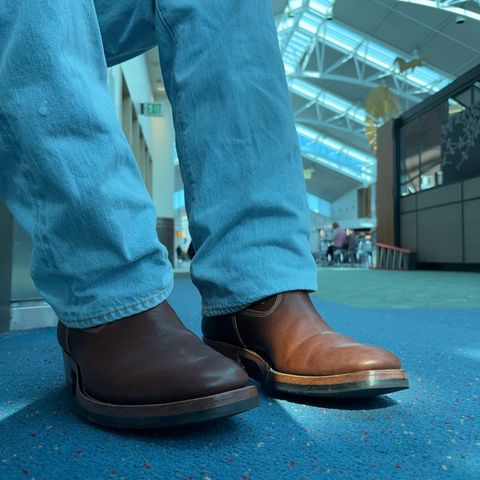 Unsung Coachman in Horween Cognac Aspen HF & C.F. Stead Caramel Classic Kudu