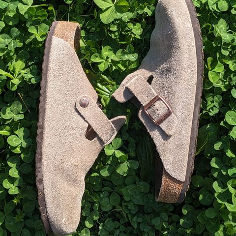 View photo of Birkenstock Boston in Taupe Suede