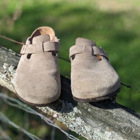 Search result thumbnail of Birkenstock Boston in Taupe Suede