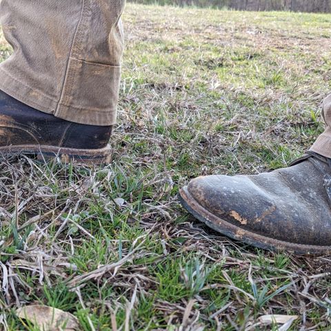 View photo of Oak Street Bootmakers Trench Boot in Dark Waxy Wild Boar