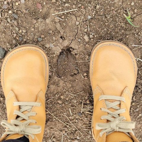 Duckfeet Faborg in Terracare Bio