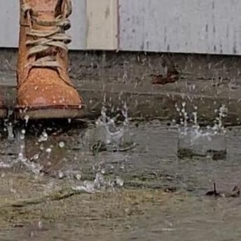 Duckfeet Faborg in Terracare Bio