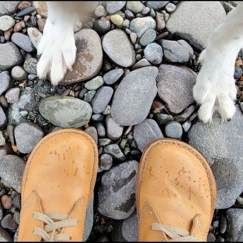 Duckfeet Faborg in Terracare Bio