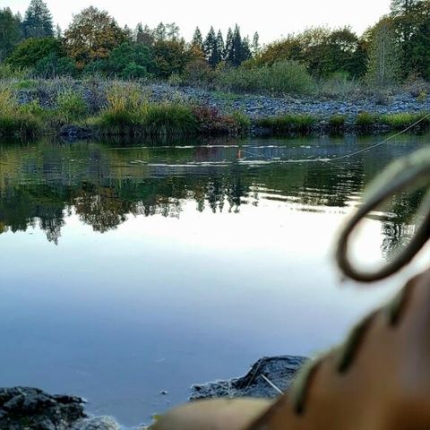 Duckfeet Faborg in Terracare Bio