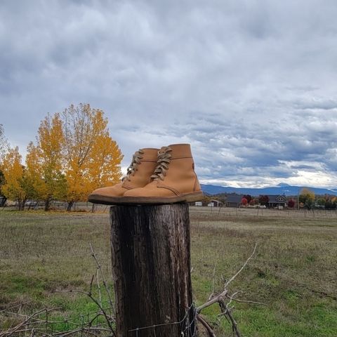 Duckfeet Faborg in Terracare Bio