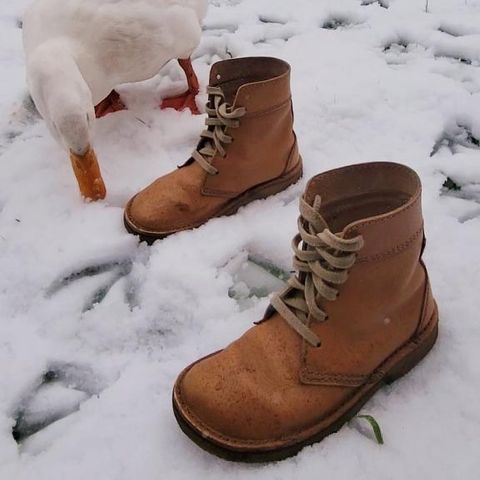 Duckfeet Faborg in Terracare Bio