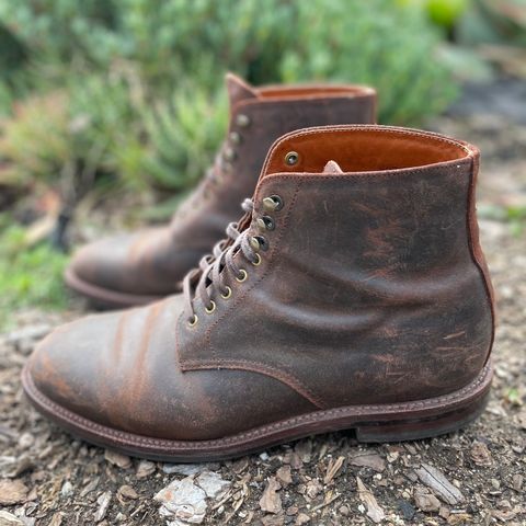 Grant Stone Edward Boot in C.F. Stead Tobacco Waxy Commander Suede