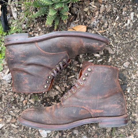 Grant Stone Edward Boot in C.F. Stead Tobacco Waxy Commander Suede