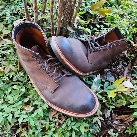 View photo of Alden Plain Toe Boot in Horween Tobacco Smooth Chamois