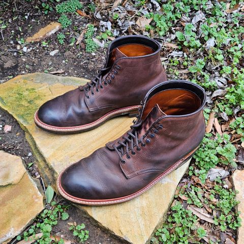 View photo of Alden Plain Toe Boot in Horween Tobacco Smooth Chamois